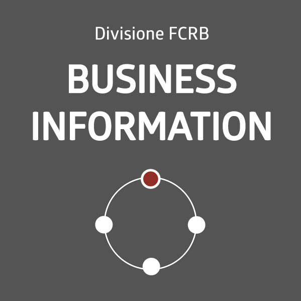 business information